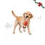Wonder Christmas Pollo L&aacute;tex Juguete para perros, , large indicador imagen numero 1