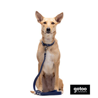 Gotoo Correa Biothane azul para perros