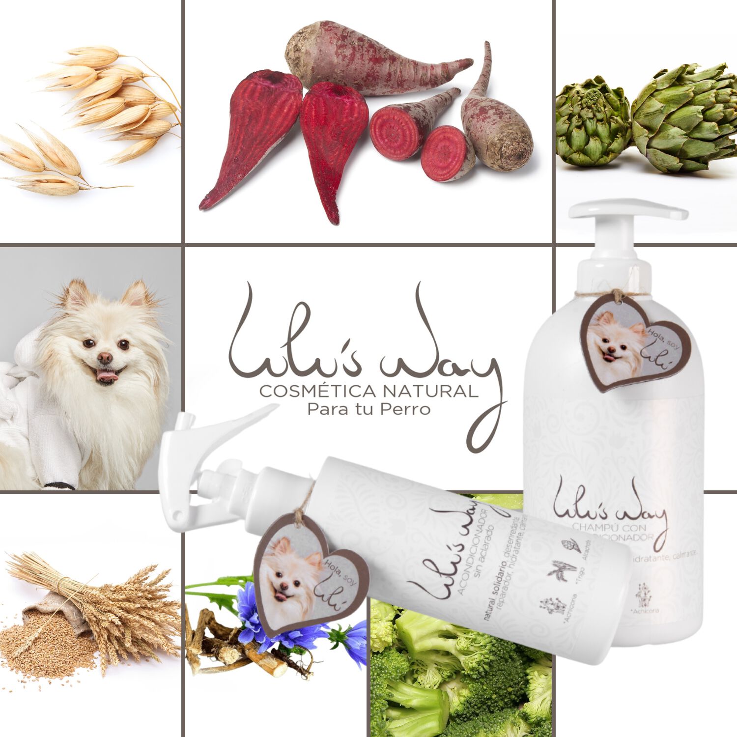 Champ&uacute; Natural Perros con Acondicionador + Acondicionador Perros sin Aclarado, , large Imagen numero 5