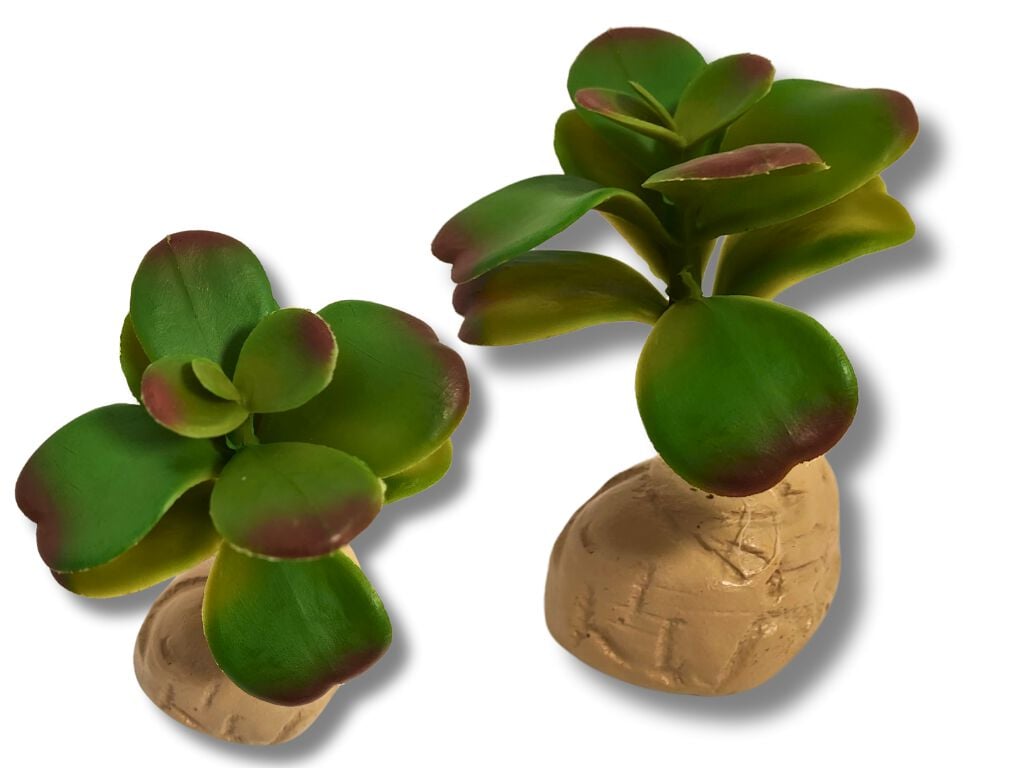Reptilhábitat Planta Ovata De Decoración Para Terrarios