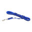 Correa engomada 20mmx5 m Azul con asa, , large indicador imagen numero 3
