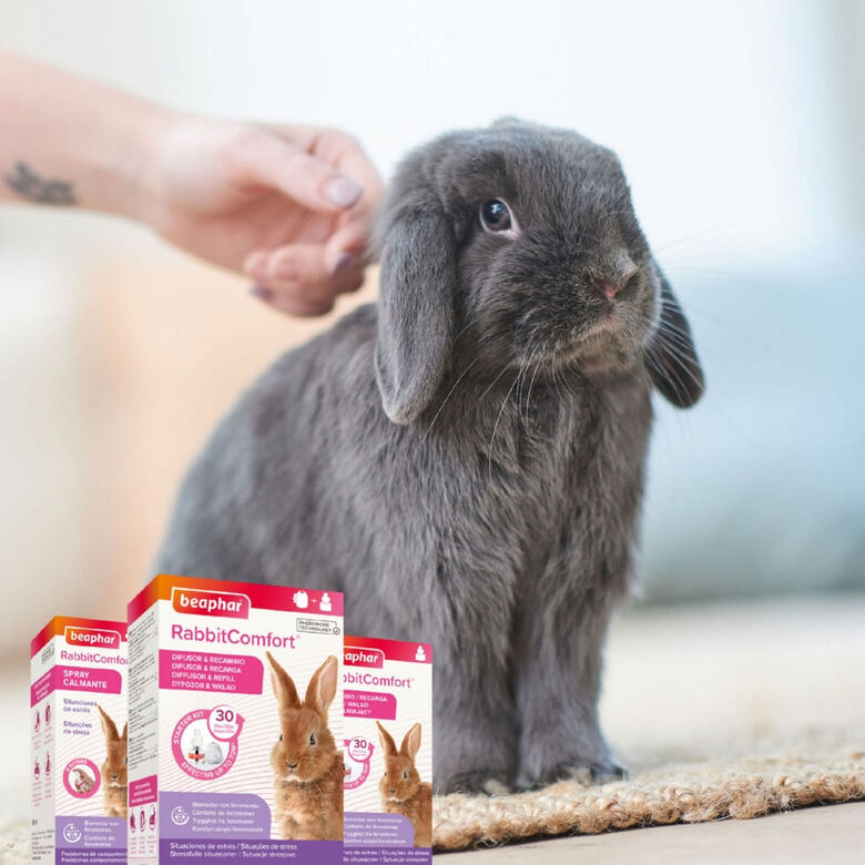 Beaphar RabbitComfort Spray Tranquilizante para conejos thumbnail