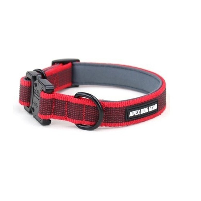 Tercero Distinción Por cierto APEX DOG GEAR collar ajustable con cierre metálico rojo para perros