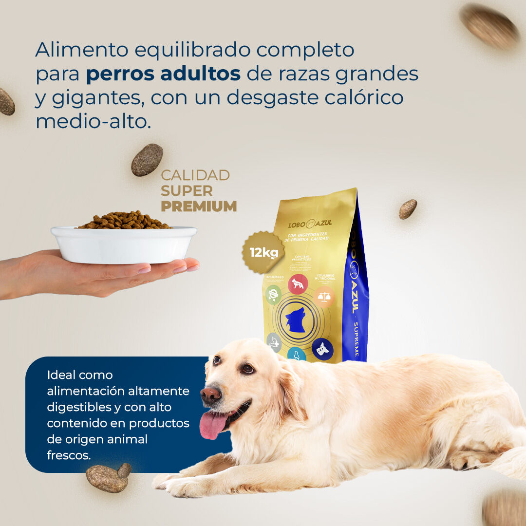 Lobo azul pienso grain free sabor pollo para perros adultos grandes y gigantes thumbnail