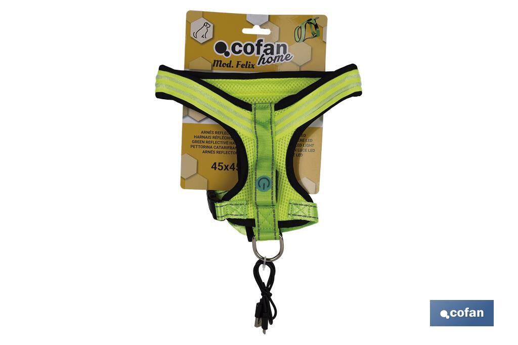 Arn&eacute;s Reflectante con Luz para Perros | Tres modos de Proyecci&oacute;n | Tama&ntilde;o S-M, , large Imagen numero 5