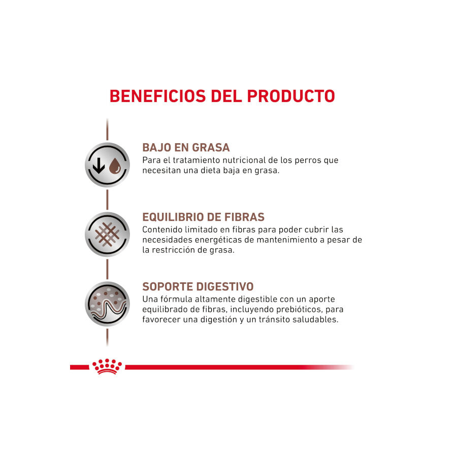 Royal Canin GastroIntestinal Low Fat pienso para perros pequeños thumbnail