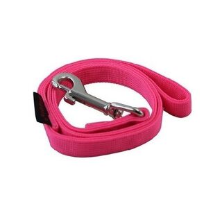 Correa para perros color Rosa neón