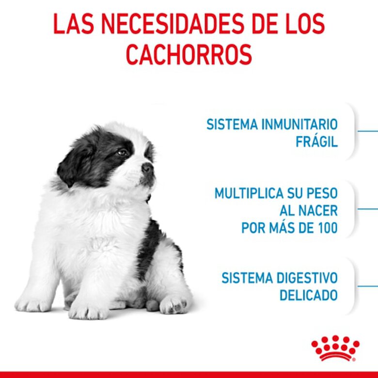 Royal Canin Puppy Giant pienso para perros, , large image number null