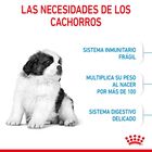 Royal Canin Puppy Giant pienso para perros, , large image number null