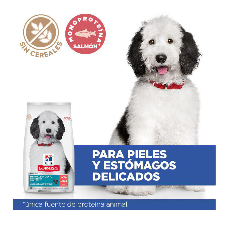 Hill&#039;s Science Plan Hipoalergénico Large Salmón pienso para perros thumbnail