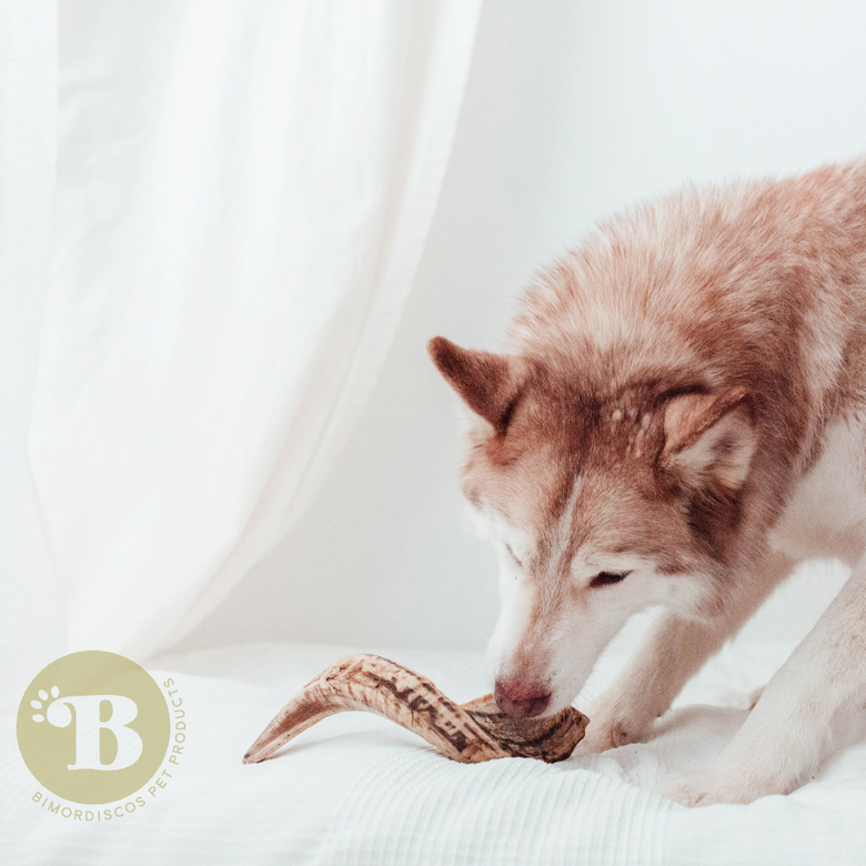 Mordedor de cuerno de carnero para perros 100% natural, , large Imagen numero 3