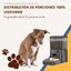 Comedero automático para mascotas Oneisall - PFD-001 - Comederos para mascotas - Negro - Dispensador de comida para perros y gatos, , large indicador imagen numero 5