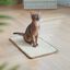 Fukumaru Alfombrilla Rascadora para Gatos &ndash; 2 en 1, Sisal Natural Antideslizante, , large indicador imagen numero 5