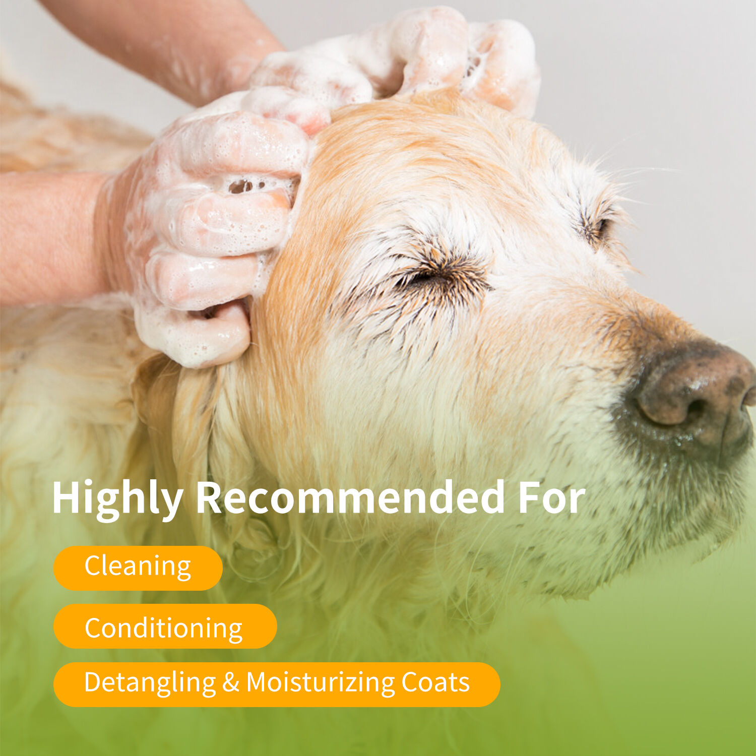 Nobleza Champ&uacute; para Perros Pelo Largo, Champ&uacute; Perros Piel Sensible y Dermatitis, champ&uacute; para perros anti olores con Extracto de Hoja de Camellia Sinernsis, Fragancia de Lavanda y C&iacute;tricos 250 ml, , large Imagen numero 5