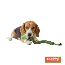 Tootoy! Serpiente Modedor de Cuerda para perros