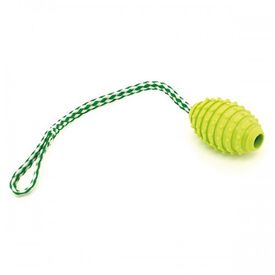 Juguete con tirador termoplástico para perros color Pistacho
