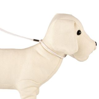 TK-Pet Collar con Correa de Exposición Blanca para perros