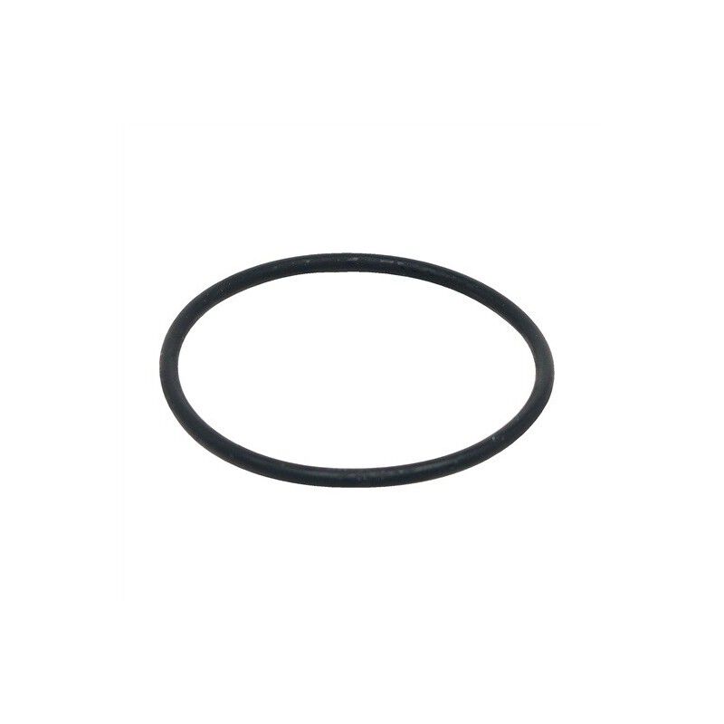 Fluval Repuesto Junta Tórica filtro mochila C para acuarios
