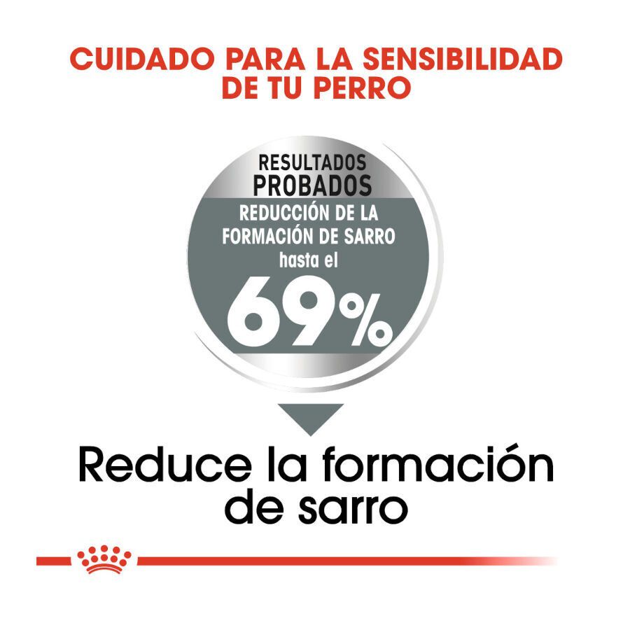 3 kg Royal Canin Dental Care Mini pienso para perros, , large Imagen numero 5