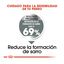 Royal Canin Dental Care Mini  pienso para perros, , large indicador imagen numero 5