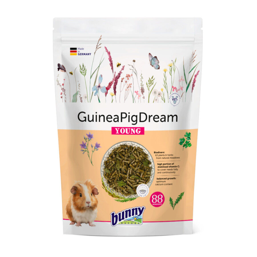Bunny Rabbit Guinea Pig Dream Young para cobayas jovenes
