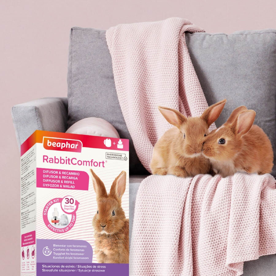 Beaphar RabbitComfort Difusor y Recambio para conejos, , large Imagen numero 8