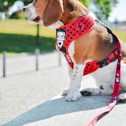 Neo mesh betty boop vintage color Rojo, , large Imagen numero 5