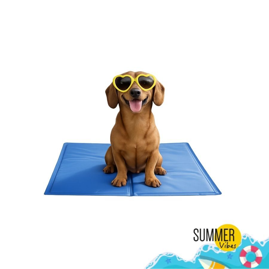 Summer Vibes Manta Refrescante Azul para perros, , large Imagen numero 6