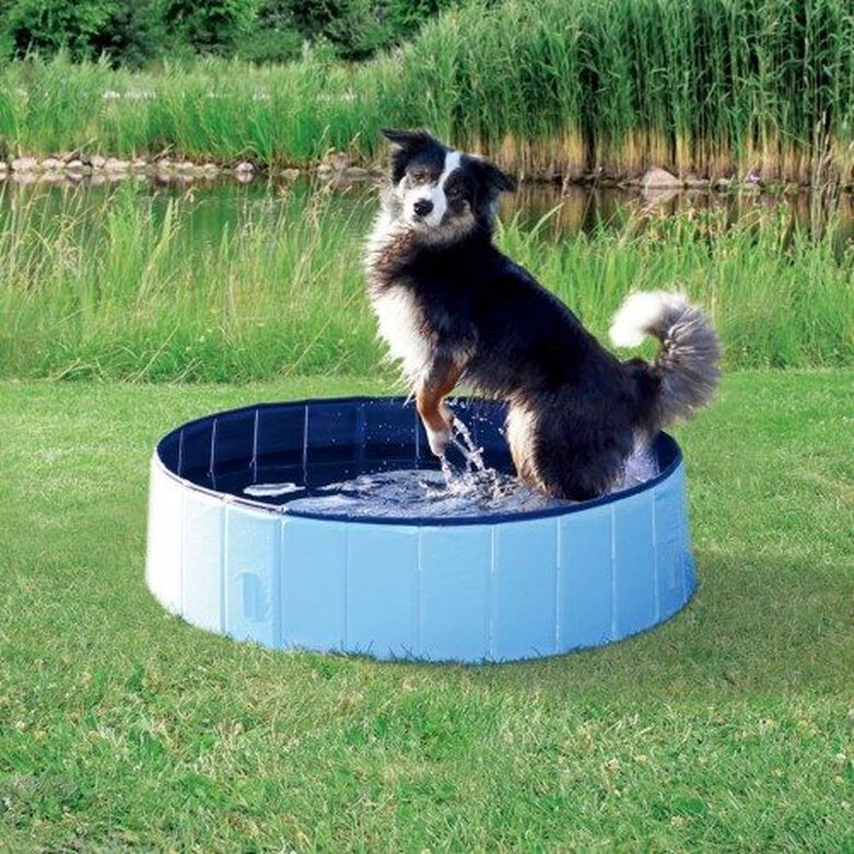 Piscina para perros color Blue, , large image number null