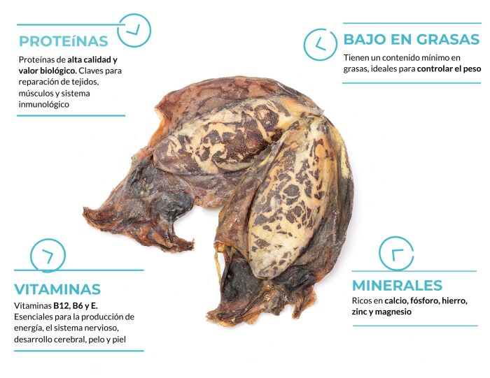 Choco mini, , large Imagen numero 2