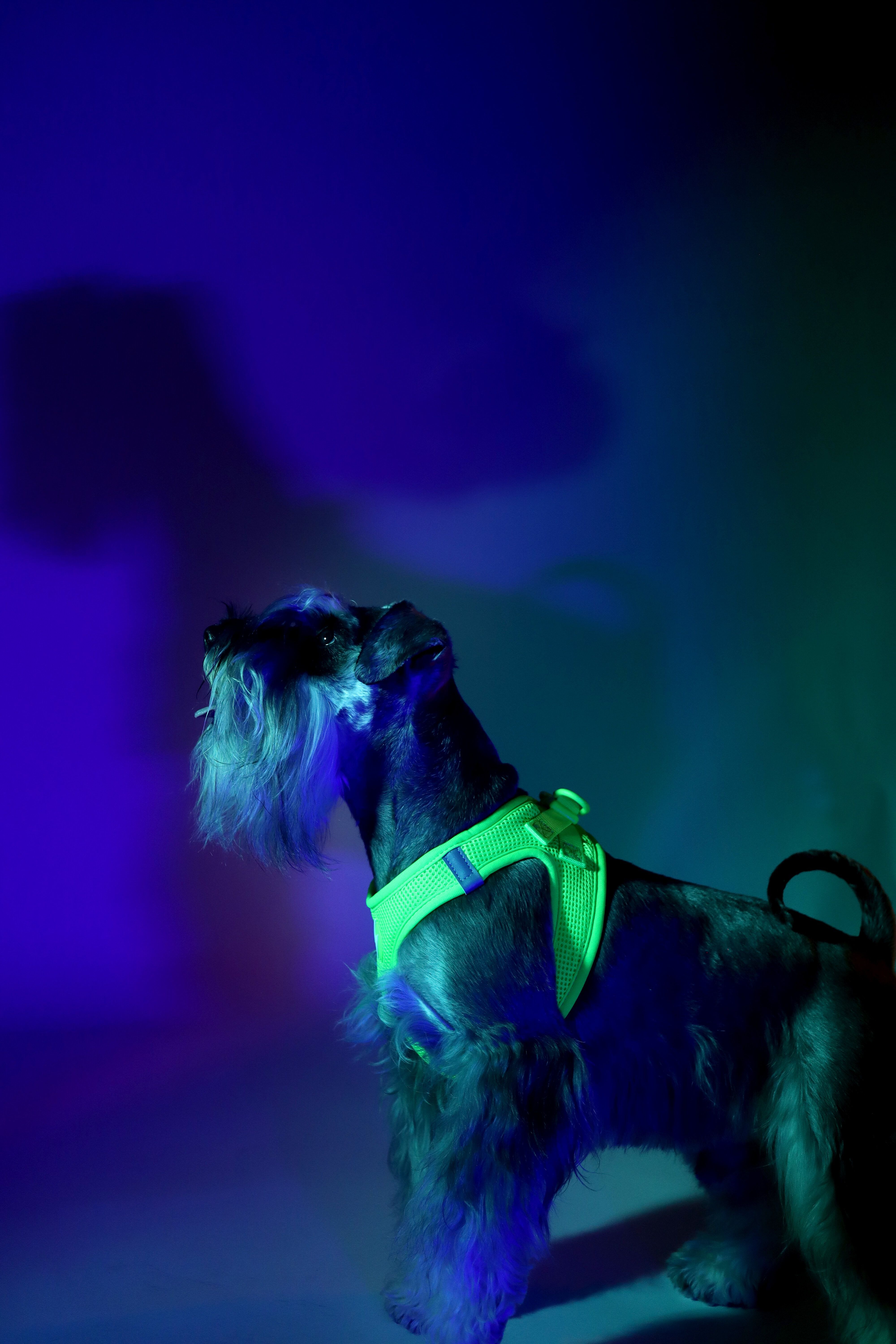Neon Verde Oxy Mesh, , large Imagen numero 2