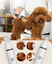 Recortadora de pelo y patas Oneisall X2+N5 CW01058, , large indicador imagen numero 2