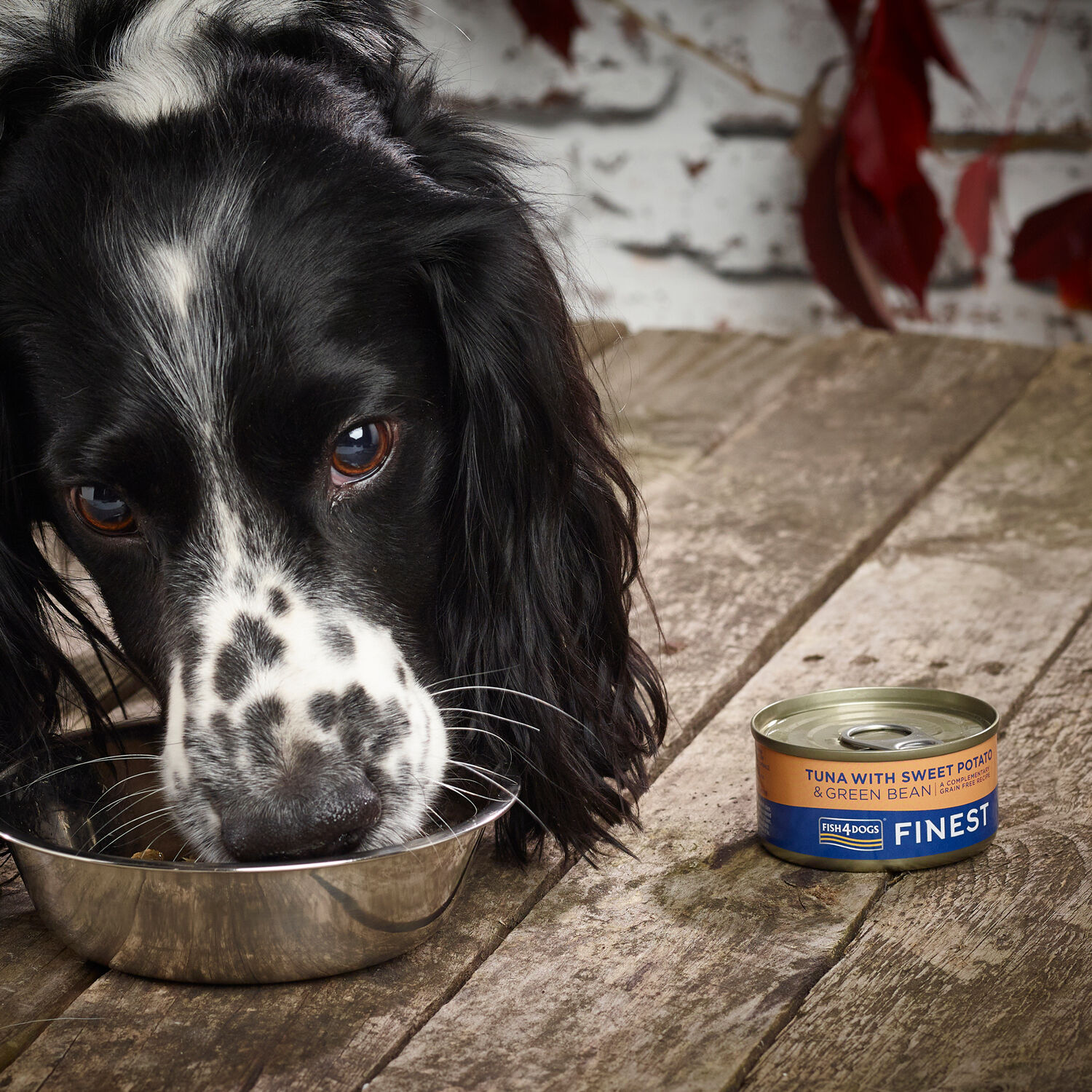 Fish4Dogs Comida húmeda Pescado y Judías para perros thumbnail