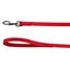 Correas nylon CORREA NYLON - AZUL TALLA S, , large indicador imagen numero 3