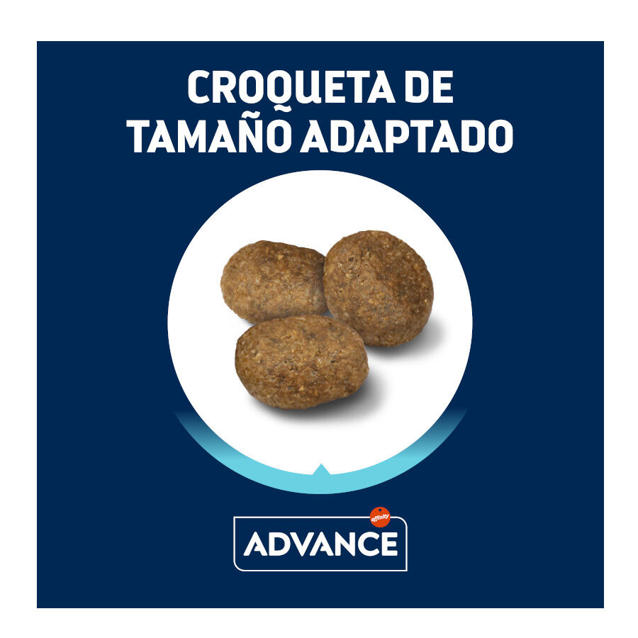 Advance Active Defense Medium Maxi Sensitive Salmón y Arroz pienso para perros thumbnail