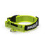 Collar Con Asa Y Doble Cierre Neon, , large indicador imagen numero 1