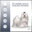 MD-10 Champú Hidratante y Dermoprotector para Bichón Maltés, , large indicador imagen numero 3