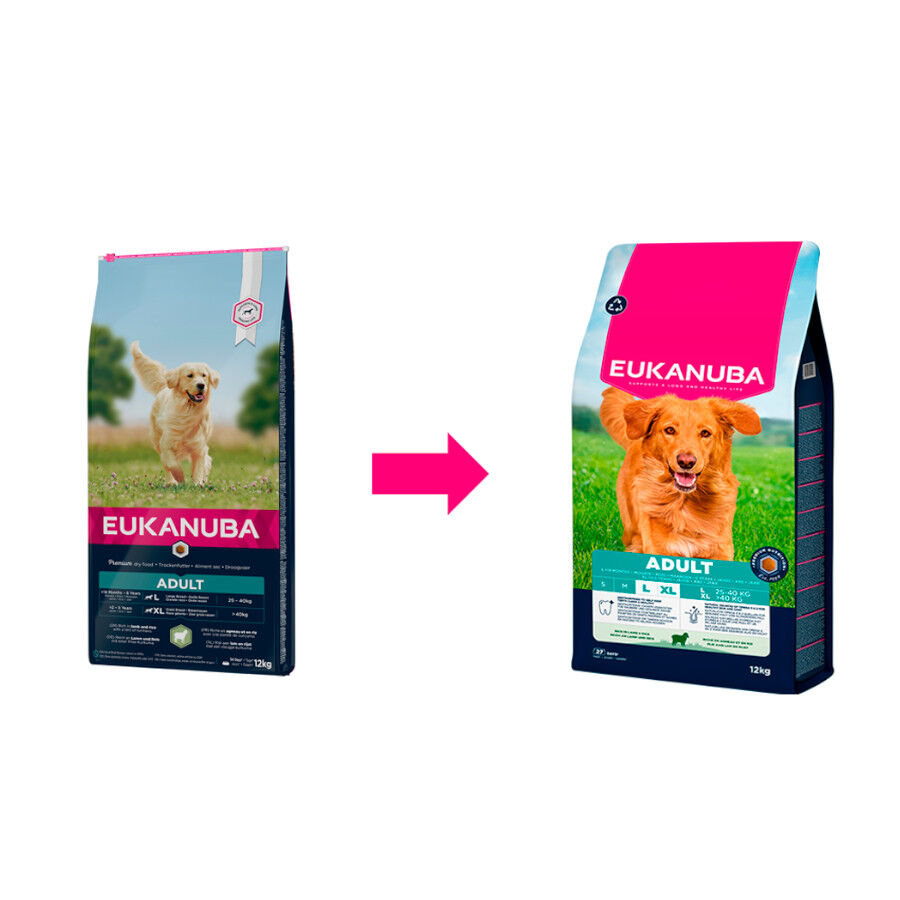 12 kg Eukanuba Adult Cordero y Arroz pienso para perros de raza grande, , large Imagen numero 2