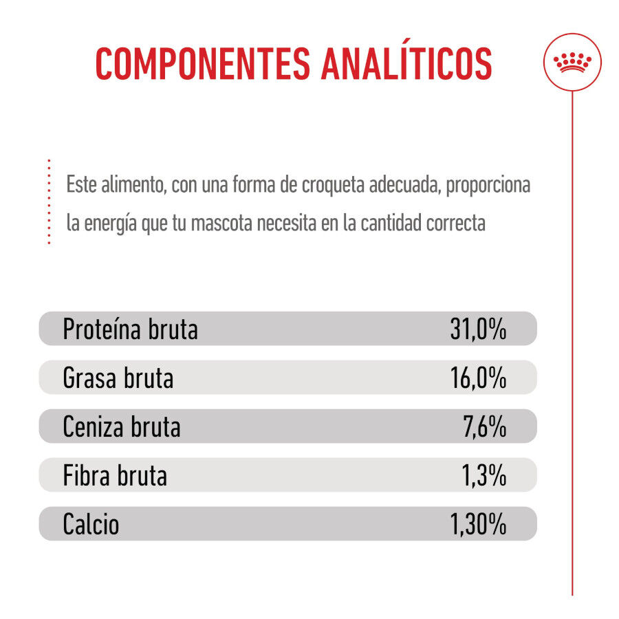 Royal Canin Junior Giant pienso para perros thumbnail