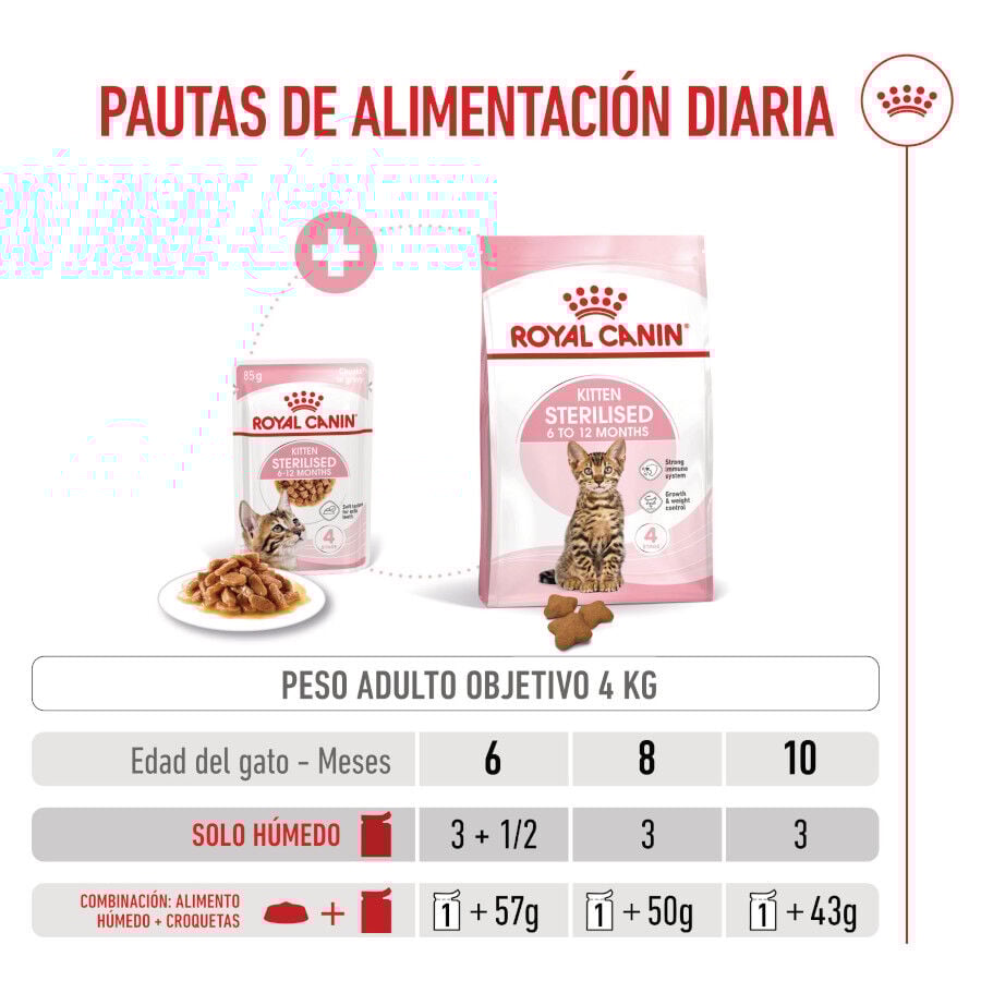 Royal Canin Kitten Sterilised salsa sobre para gatos thumbnail