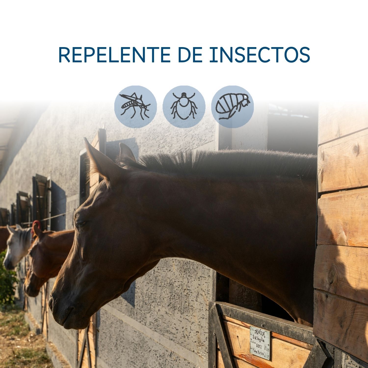 Spray Repelente de insectos caballos 360 lulipet 500 ml, , large Imagen numero 3