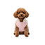 Gotoo Jersey Estampado Estrellas para perros, , large indicador imagen numero 7