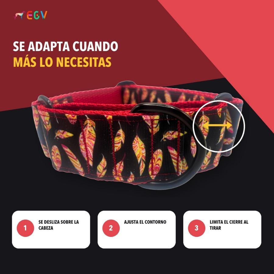EGV - Collar Martingale 4 cm ancho, Collar galgo hecho a mano en Espa&ntilde;a (Plumas), , large Imagen numero 3