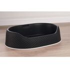 Cesta para perro color Gris, , large image number null