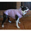 Freedog Abrigo Impermeable Winterhug Morado para perrros, , large indicador imagen numero 2