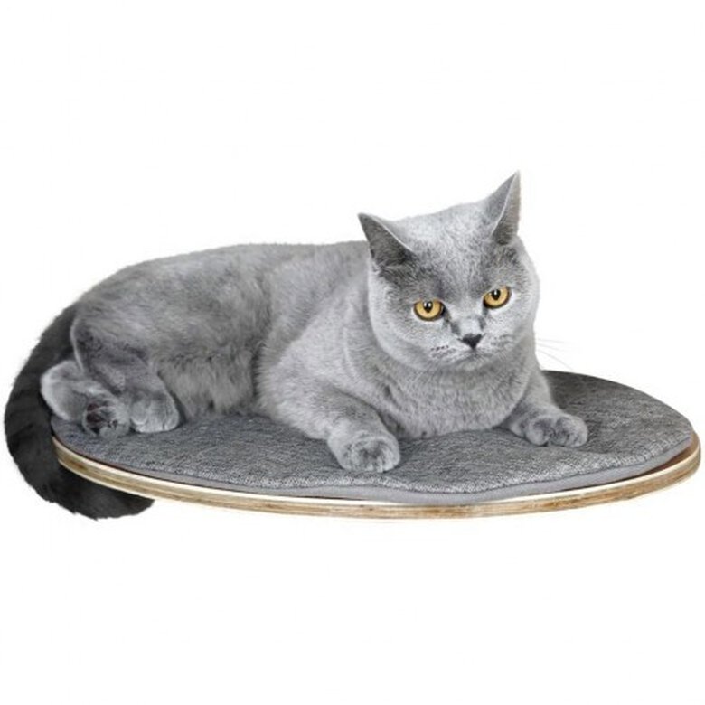 Cama en la pared Tofana para gatos color Gris, , large image number null