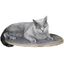 Cama en la pared Tofana para gatos color Gris, , large indicador imagen numero 1