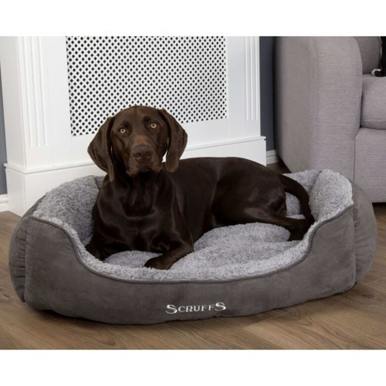 Cama De Mascota color Gris, , large image number null