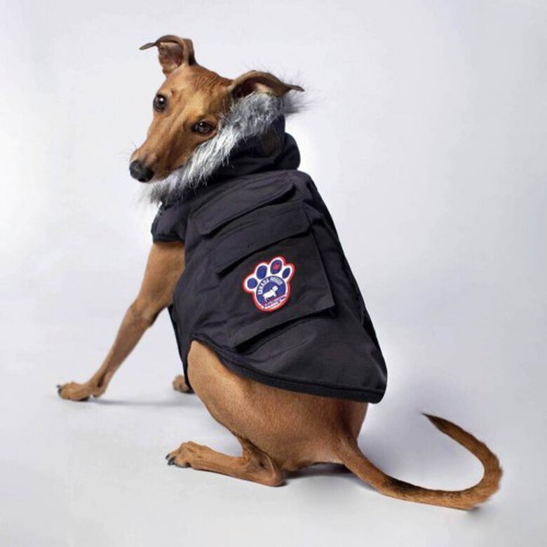 Chaqueta modelo Everest Explorer para perros color Negro, , large image number null