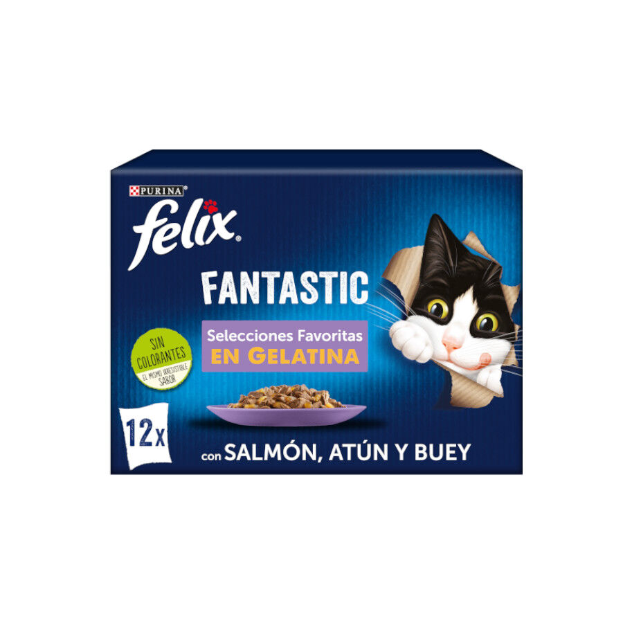 Felix Fantastic Selecciones Favoritas sobres en gelatina thumbnail
